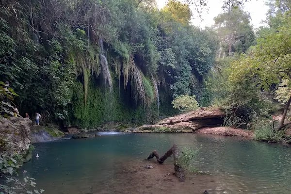 PARK ŞELALE - Resim 13