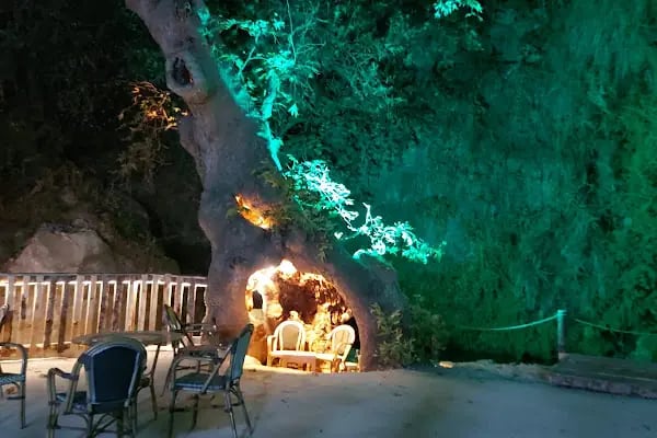 PARK ŞELALE - Resim 14