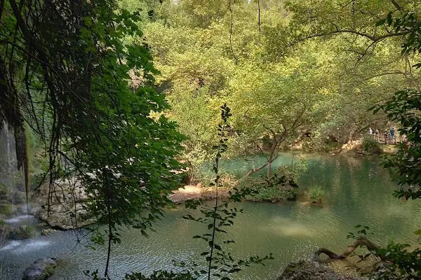 PARK ŞELALE - Resim 19