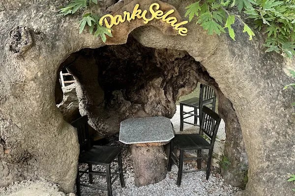 PARK ŞELALE - Resim 5
