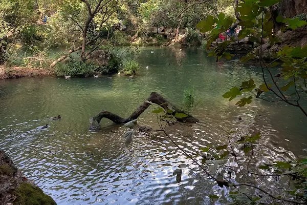 PARK ŞELALE - Resim 8