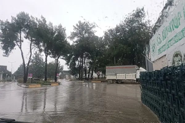 İzmir Büyükşehir Belediyesi Meyve Sebze Hal Şube Müdürlüğü - Resim 15
