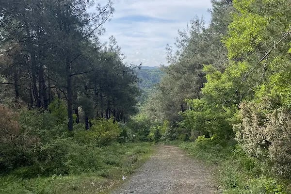 Arnavutköy Belediyesi Temizlik İşleri Müdürlüğü Garajı - Resim 1