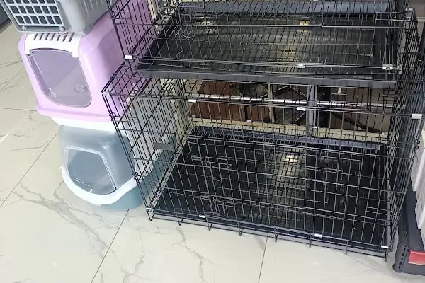 Turan Pet Market - Resim 4