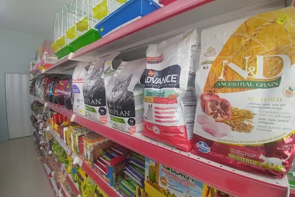 MAVİ DÜNYA AKVARYUM ve PETSHOP - Resim 11