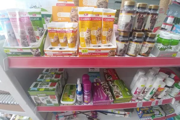 MAVİ DÜNYA AKVARYUM ve PETSHOP - Resim 8