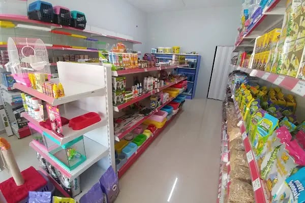 MAVİ DÜNYA AKVARYUM ve PETSHOP - Resim 20