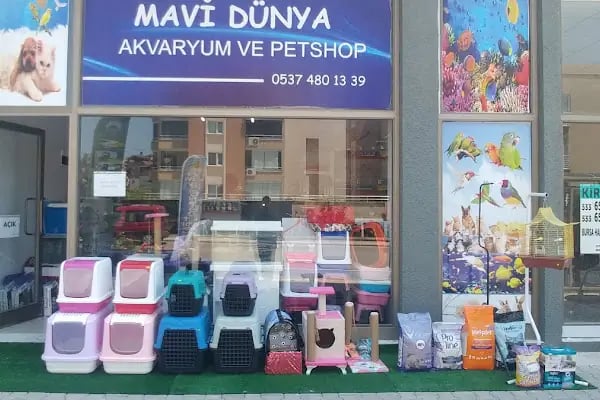 MAVİ DÜNYA AKVARYUM ve PETSHOP - Resim 2