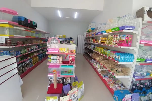 MAVİ DÜNYA AKVARYUM ve PETSHOP - Resim 17