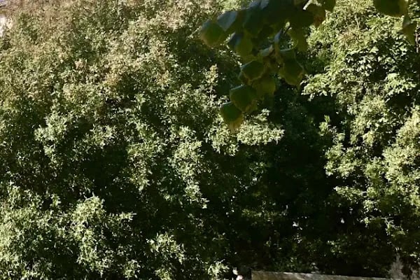 SBÜ Haydarpaşa Numune Eğitim ve Araştırma Hastanesi Sadık Eratik Göz Kliniği - Resim 10