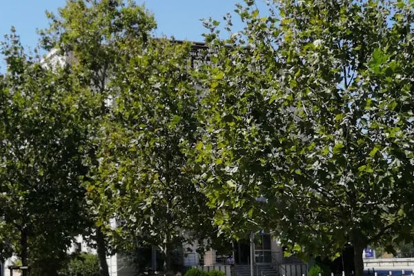 SBÜ Haydarpaşa Numune Eğitim ve Araştırma Hastanesi Sadık Eratik Göz Kliniği - Resim 18