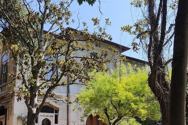 SBÜ Haydarpaşa Numune Eğitim ve Araştırma Hastanesi Sadık Eratik Göz Kliniği - Resim 5
