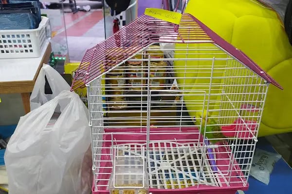 Badem PetShop - Resim 11