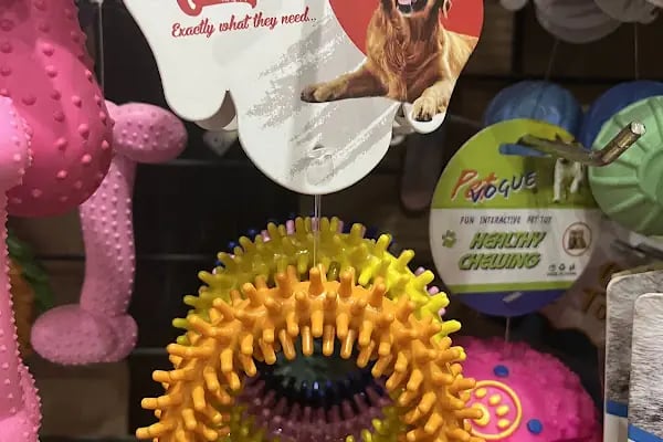 Badem PetShop - Resim 13