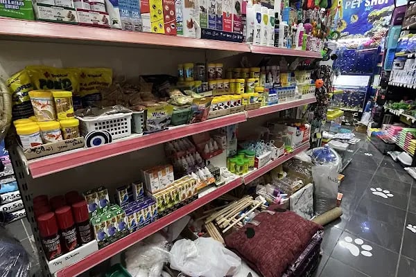 Badem PetShop - Resim 17