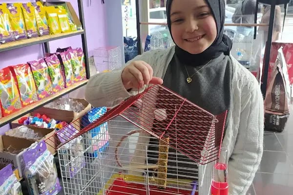 Badem PetShop - Resim 18