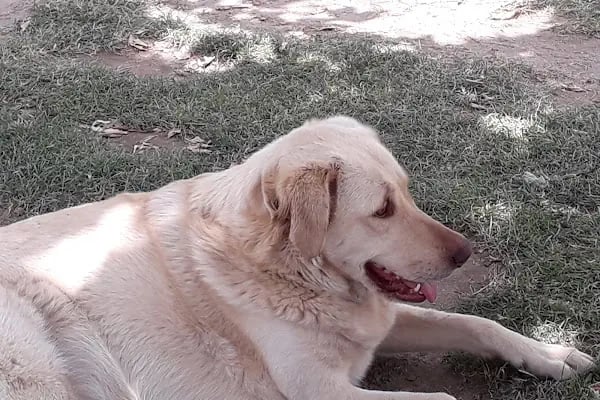 Manisa Tenis Dağcılık Spor Kulübü - Resim 18