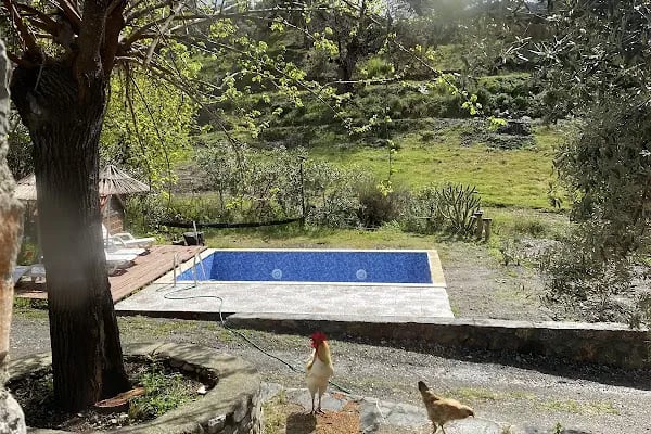 togo iztuzu stonehouse - Resim 13