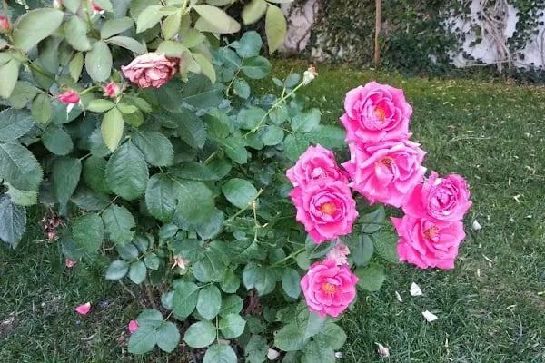 Bim Akyurt Depo - Resim 12