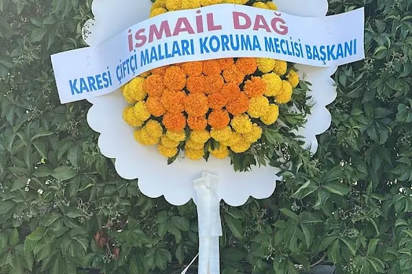 Yakın Çiçek - Resim 6