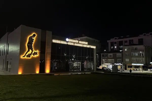 SARBAK Metal Andon Arakelyan Halk Kütüphanesi - Resim 9
