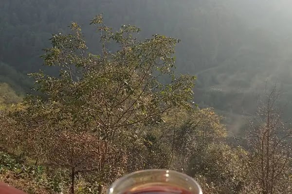 Akçaköy Belediyesi - Resim 14