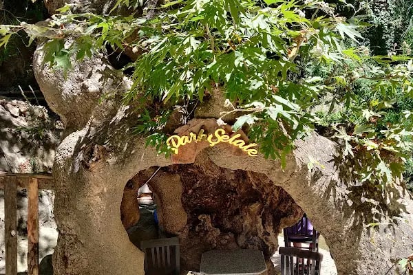Alanya Benlidere Selalesi - Resim 4