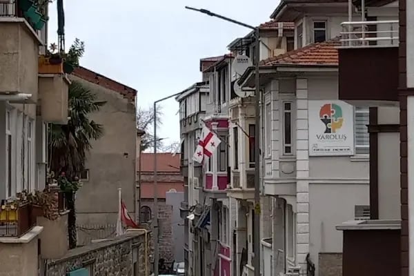 Gürcistan Başkonsolosluğu - Resim 6