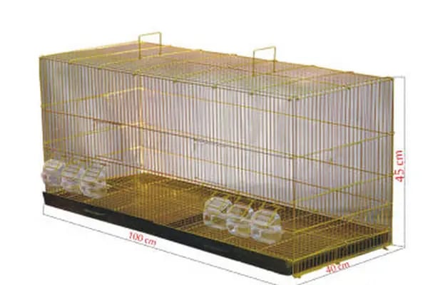 Canser Pet Market - Resim 13