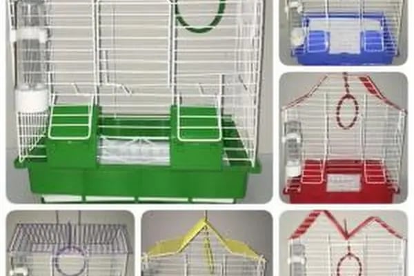 Canser Pet Market - Resim 20