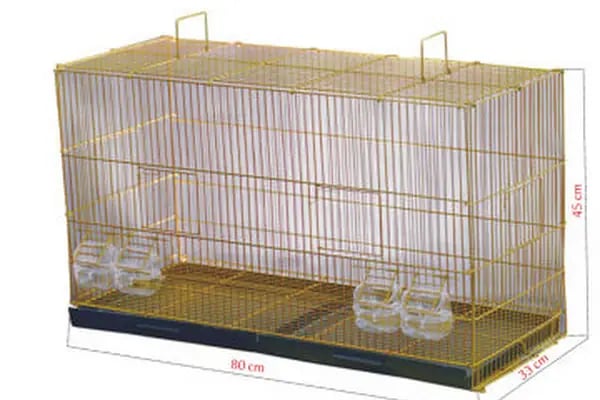 Canser Pet Market - Resim 12