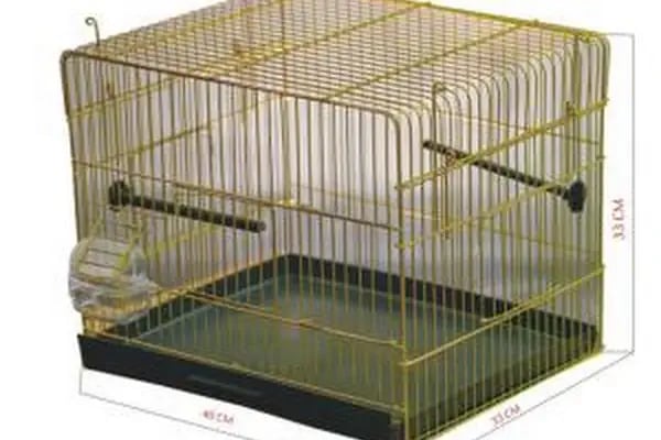 Canser Pet Market - Resim 4