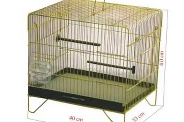 Canser Pet Market - Resim 8