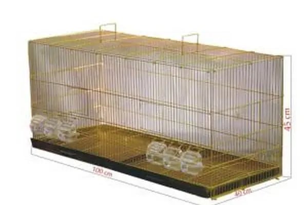 Canser Pet Market - Resim 11