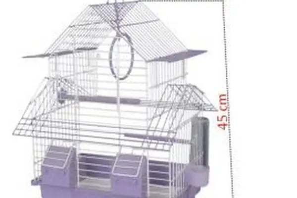 Canser Pet Market - Resim 19