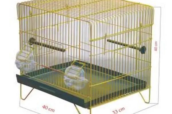 Canser Pet Market - Resim 2