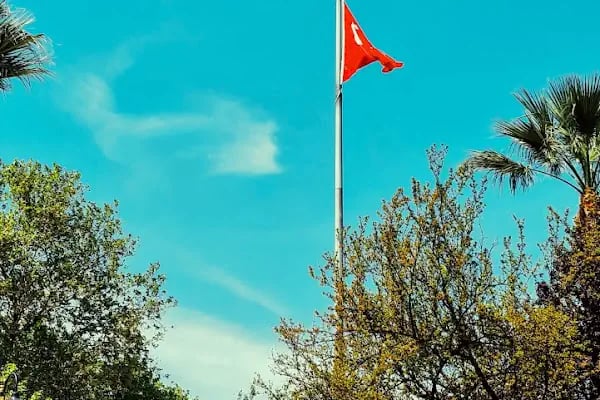 BUDO Mudanya İskelesi - Resim 19