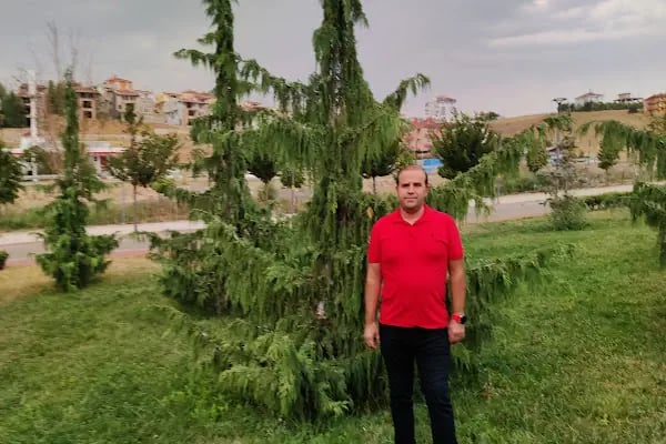 Akyurt Dolay Mesire Alanı - Resim 13