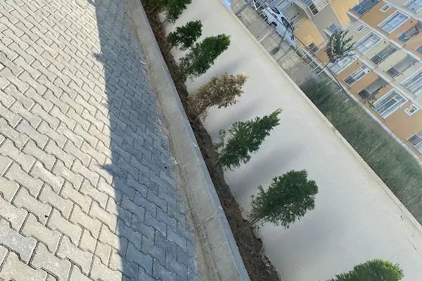 Kirazlıbağ konutları - Resim 6