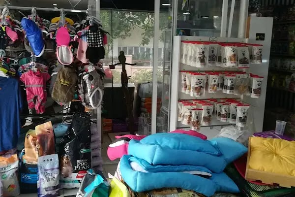 Bizim City Petshop - Resim 13