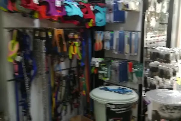 Bizim City Petshop - Resim 9