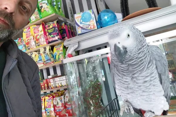 Bizim City Petshop - Resim 2