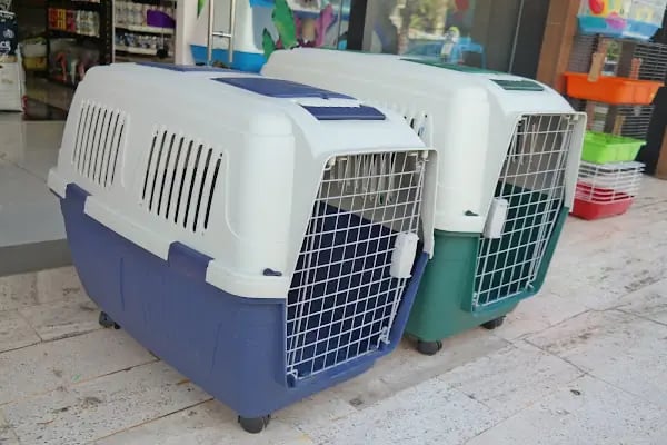 Bizim City Petshop - Resim 12