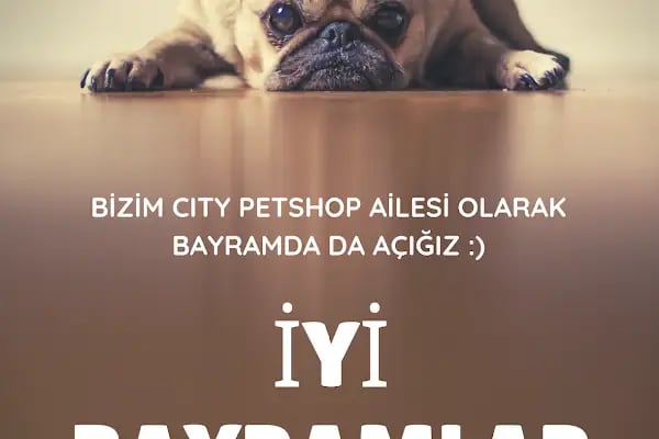 Bizim City Petshop - Resim 19