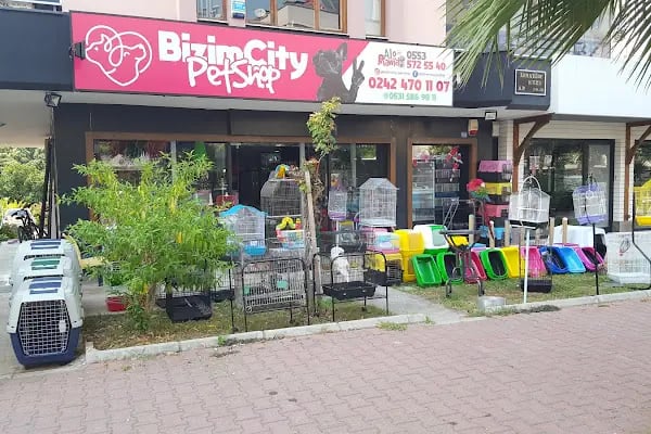 Bizim City Petshop - Resim 11