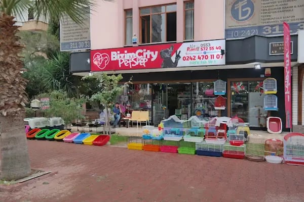 Bizim City Petshop - Resim 10
