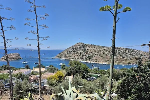Daşdibi Kahvaltı &amp; Kafe Bodrum - Resim 10