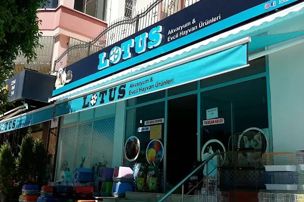 Lotus Akvaryum ve Evcil Hayvan Ürünleri - Resim 3
