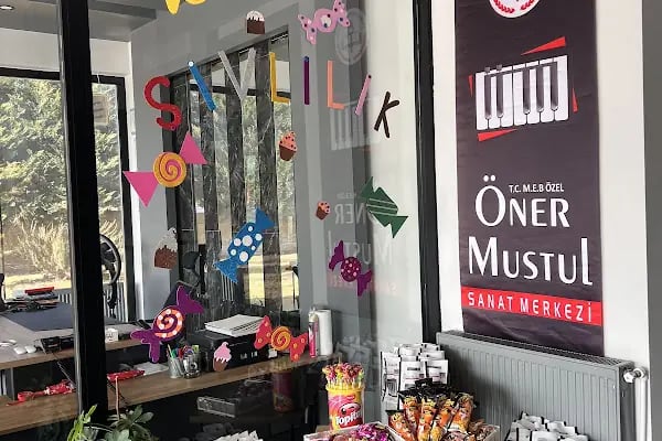 T.C M.E.B. ÖZEL ÖNER MUSTUL SANAT MERKEZİ - Resim 2
