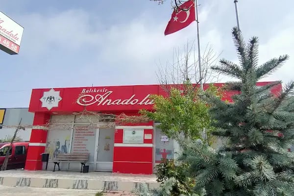 Balıkesir Anadolu Osgb - Resim 6